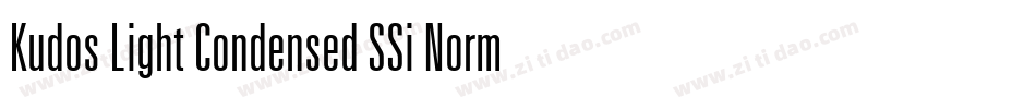 Kudos Light Condensed SSi Normal字体转换